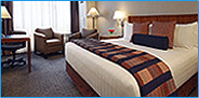Hotel Bedroom