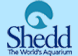 Shedd Aquarium